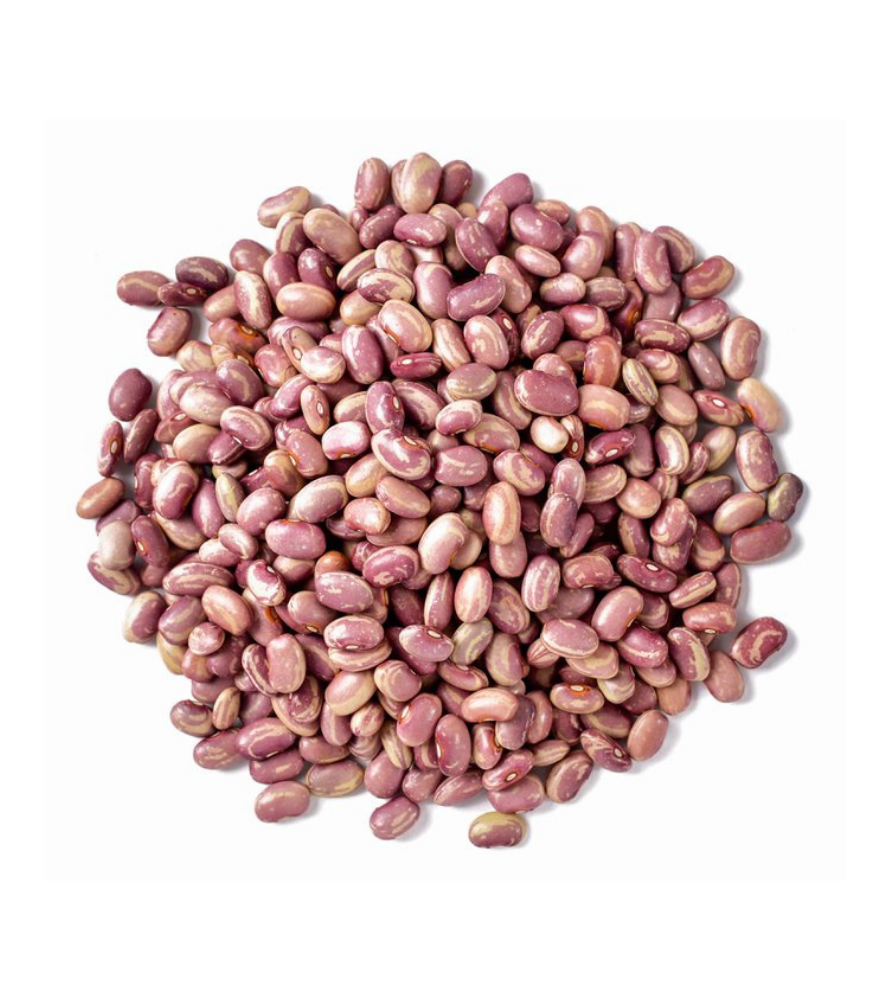 FRIJOL FLOR DE JUNIO (FLOR DE JUNIO BEANS)