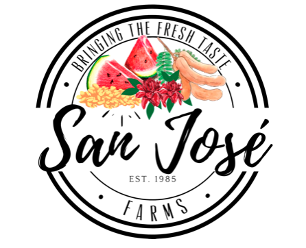 SAN JOSE PRODUCE & IMPORTS LLC