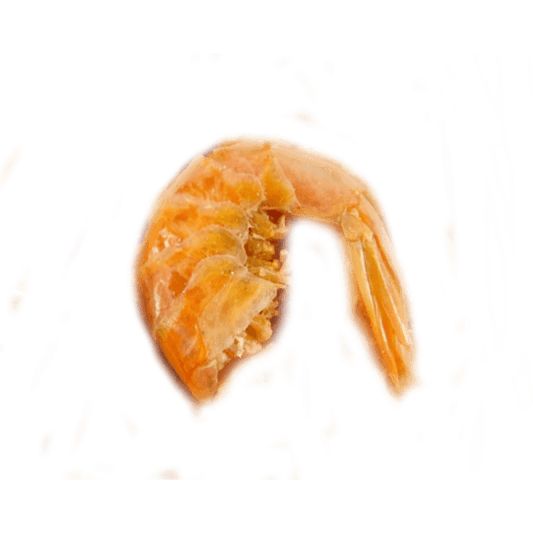 CAMARON SECO ENTERO (WHOLE DRIED SHRIMP)